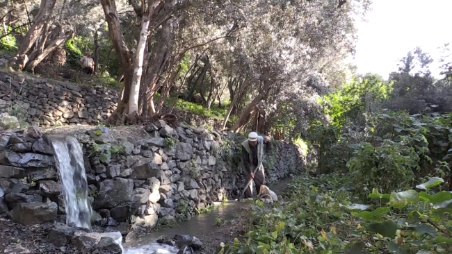 Fotoğraf: TRT Haber